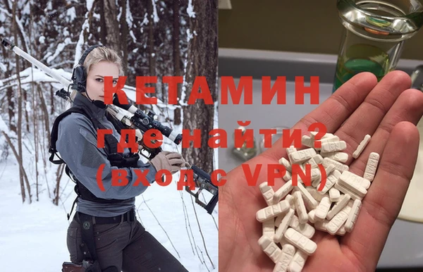прущие грибы Абаза