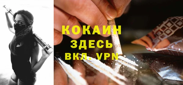 прущие грибы Абаза