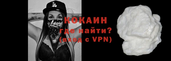 прущие грибы Абаза