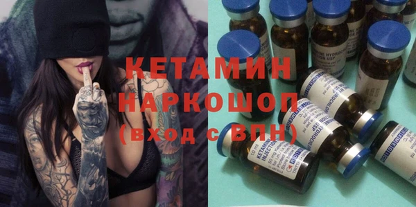 прущие грибы Абаза