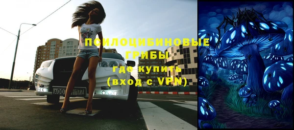 СК Абинск