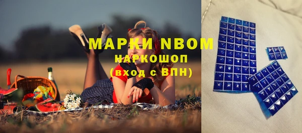 прущие грибы Абаза
