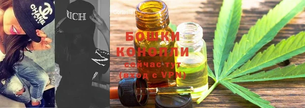 прущие грибы Абаза